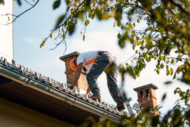 Best Roof Restoration Services  in Leonia, NJ