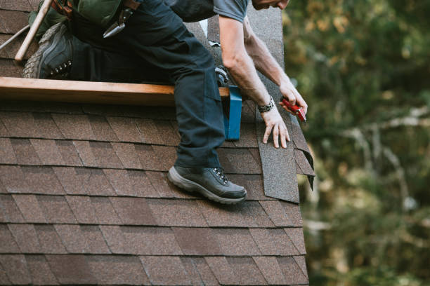 Best Sealant for Roof  in Leonia, NJ